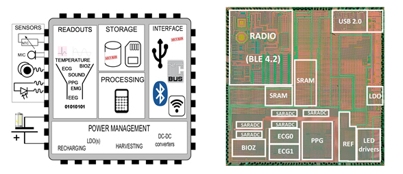 그림 3. Single Chip SoC for Multi-modal Vital Sign Health Platform