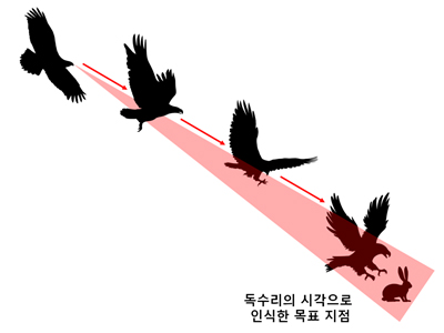 [그림 2] 시각 정보 기반 비행 생명체의 목표 지점 도달 방식