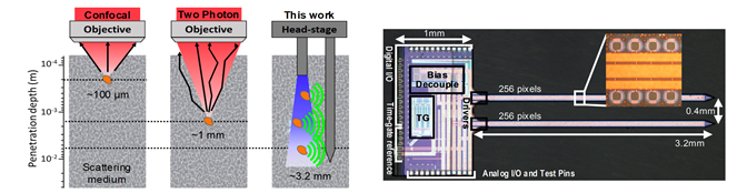 그림 2. Neural Imaging Probe 