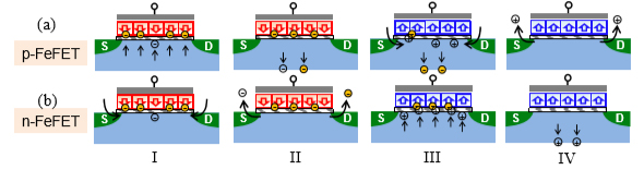 [그림 2] (a) p-FeFET과 (b) n-FeFET의 polarization switching에서의 전자와 홀의 반응