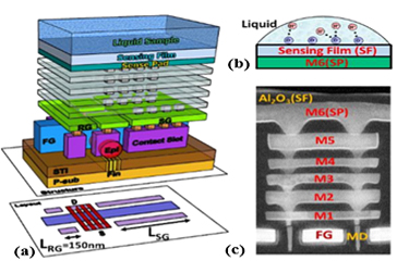 [그림 1] floating gate ISFET과 ion sensor의 TEM 분석사진